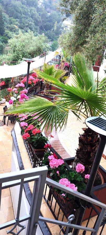 Villa Arianna B&B ตาออร์มินา ภายนอก รูปภาพ